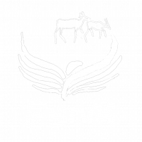 logo-eras-inicio-no-fond logo-eras-inicio-no-fond